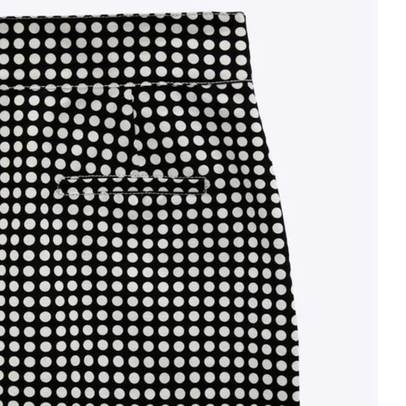 Zara Studio Polka Dot Mini Skirt Limited Edition M - Picture 7 of 7